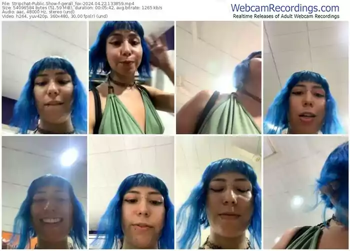 stripchat-gerall_fox-04-22-2024-13-38-59