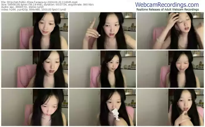 stripchat-wawa-oy-04-22-2024-11-40-45