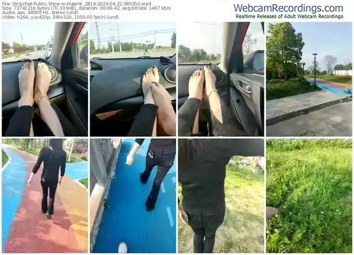 stripchat-haeink_2818-04-22-2024-08-03-50