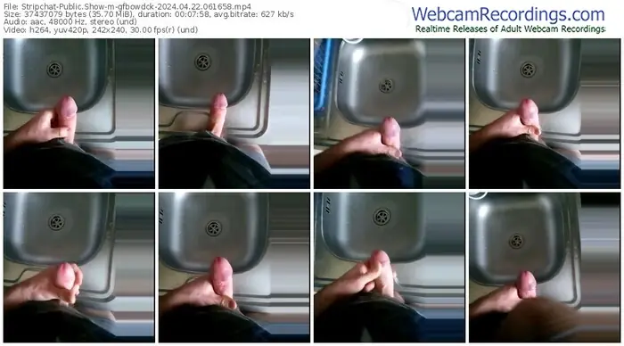 stripchat-gfbowdck-04-22-2024-06-16-58