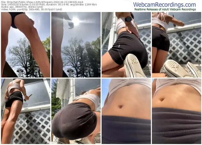 stripchat-kittywhispers-04-23-2024-18-43-20