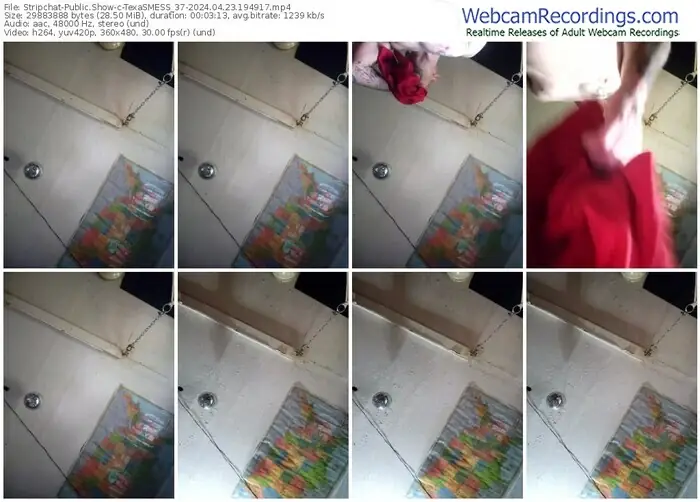 stripchat-texasmess_37-04-23-2024-19-49-17