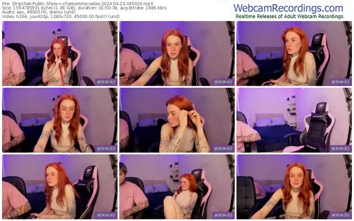 stripchat-chamomilecoalas-04-23-2024-04-50-26