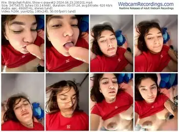 stripchat-piawet2-04-23-2024-20-02-01