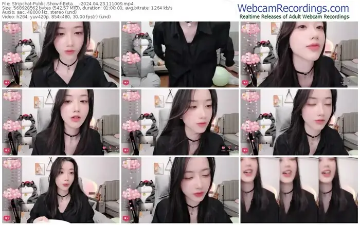 stripchat-beta___-04-23-2024-11-10-09