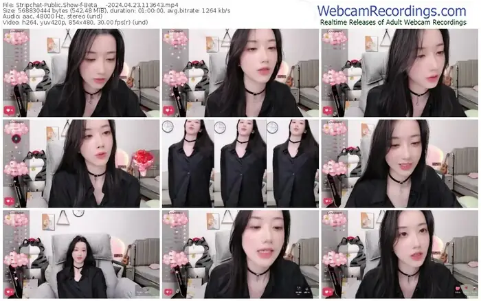 stripchat-beta___-04-23-2024-11-36-43