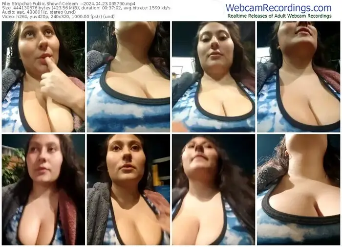 stripchat-celeem_--04-23-2024-03-57-30