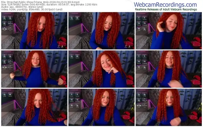 stripchat-dana_wolv-04-23-2024-01-30-19