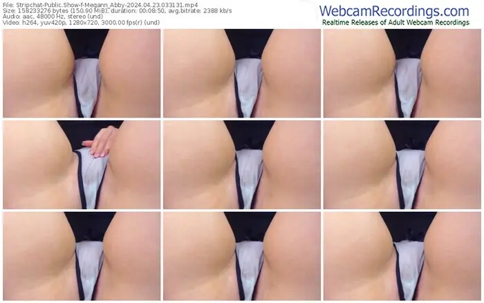 stripchat-megann_abby-04-23-2024-03-31-31