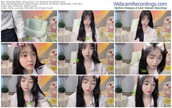 stripchat-n21-77n-04-23-2024-03-31-31
