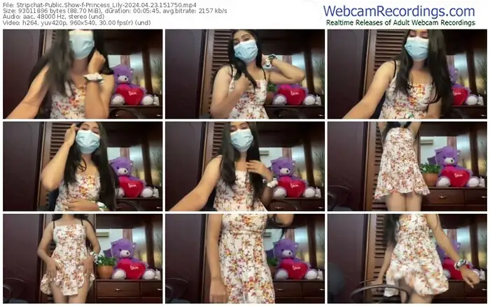 stripchat-princess_lily-04-23-2024-15-17-50