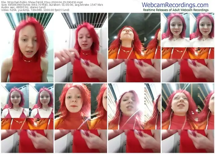 stripchat-wild_f0xy-04-23-2024-09-04-32