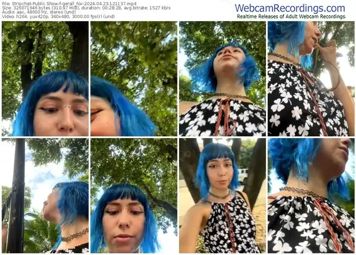 stripchat-gerall_fox-04-23-2024-12-11-37