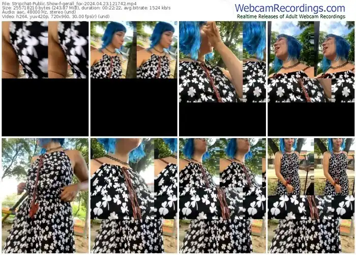 stripchat-gerall_fox-04-23-2024-12-17-42