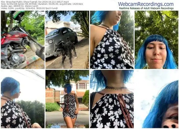 stripchat-gerall_fox-04-23-2024-13-45-27