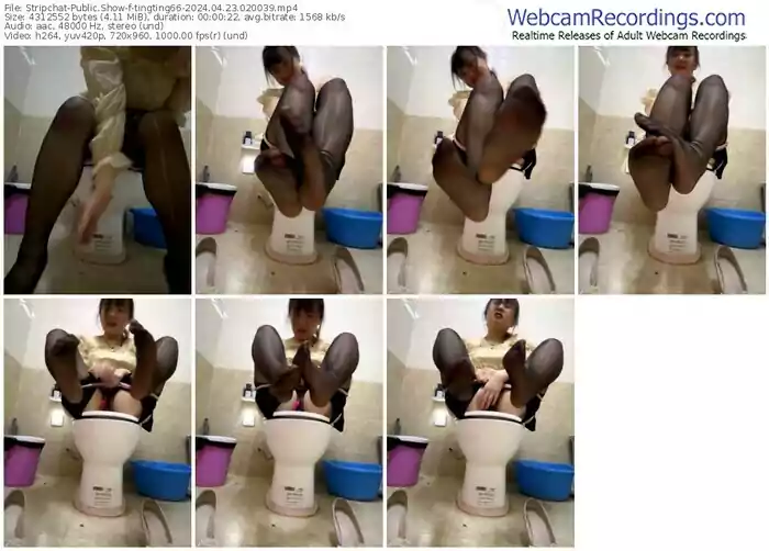 stripchat-tingting66-04-23-2024-02-00-39