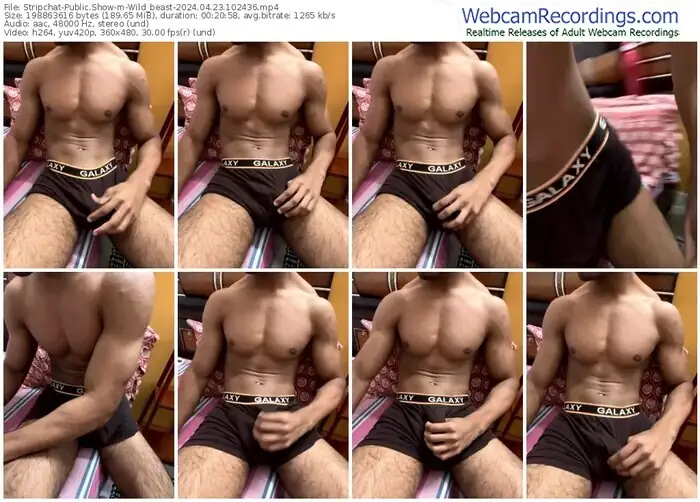 stripchat-wild_beast-04-23-2024-10-24-36