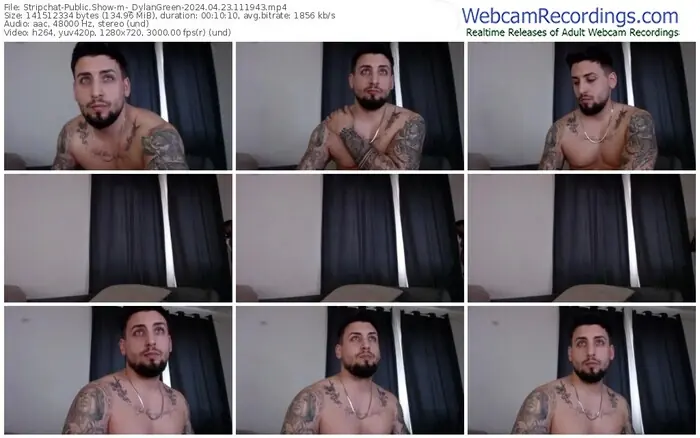 stripchat-_dylangreen-04-23-2024-11-19-43