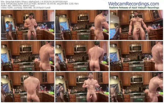 stripchat-alphazack_14-04-24-2024-00-53-28