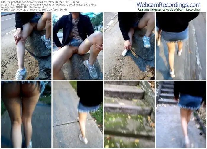 stripchat-snaibest-04-24-2024-23-06-13