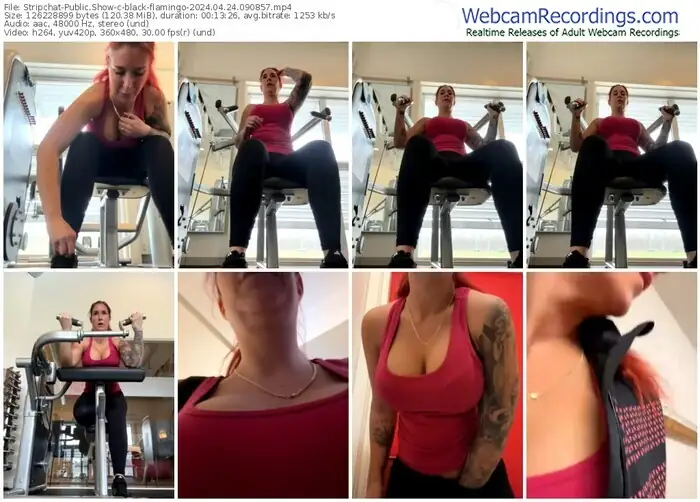 stripchat-black-flamingo-04-24-2024-09-08-57