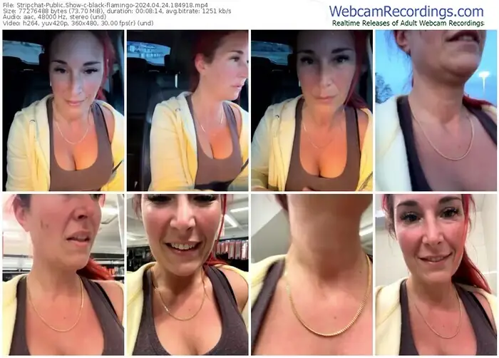 stripchat-black-flamingo-04-24-2024-18-49-18