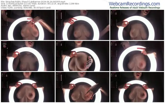 stripchat-cuteberries-04-24-2024-06-33-55