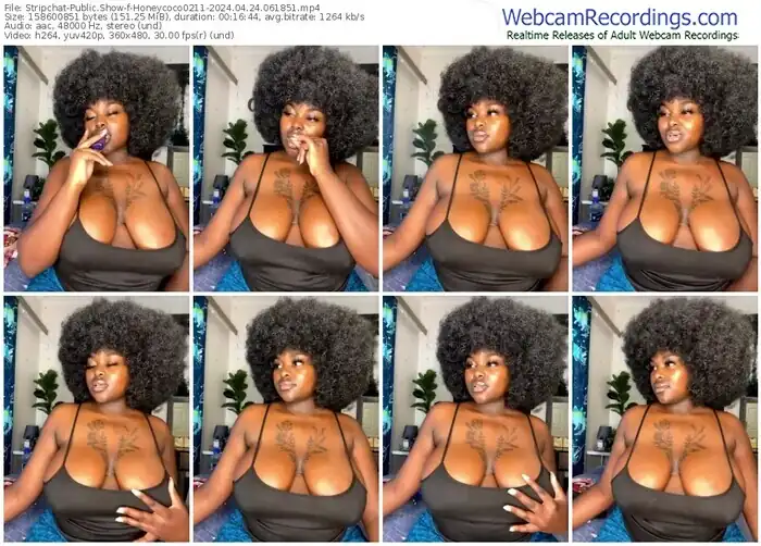 stripchat-honeycoco0211-04-24-2024-06-18-51