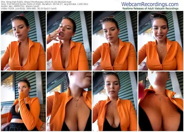 stripchat-ririroseey-04-24-2024-08-22-28