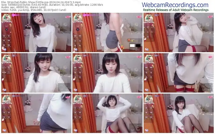 stripchat-little-joe-04-24-2024-00-47-13