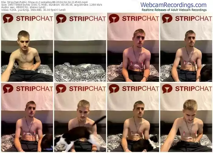 stripchat-cookieboy88-04-24-2024-21-45-40