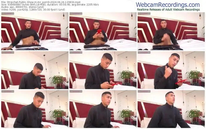 stripchat-mr_porn9-04-24-2024-12-38-33
