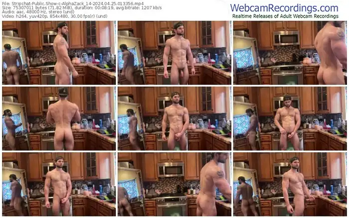 stripchat-alphazack_14-04-25-2024-01-33-56