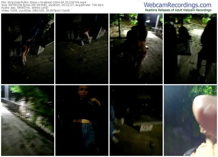 stripchat-snaibest-04-25-2024-23-37-04