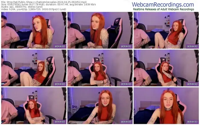 stripchat-chamomilecoalas-04-25-2024-09-24-52