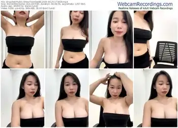 stripchat-annlee88-04-25-2024-17-34-39