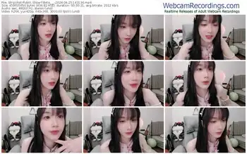 stripchat-beta___-04-25-2024-14-31-36