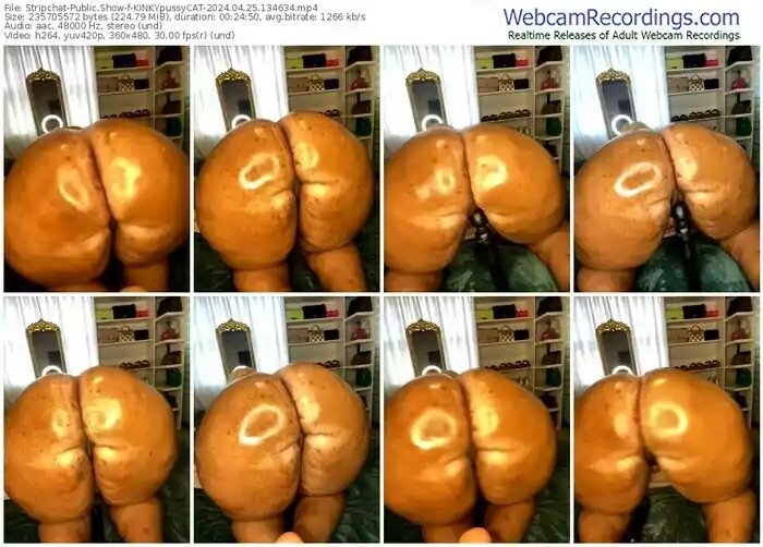 stripchat-kinkypussycat-04-25-2024-13-46-34