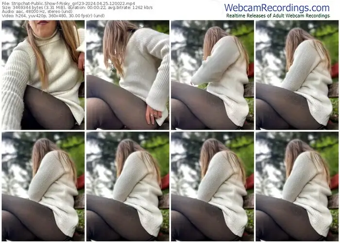 stripchat-risky_girl23-04-25-2024-12-00-22