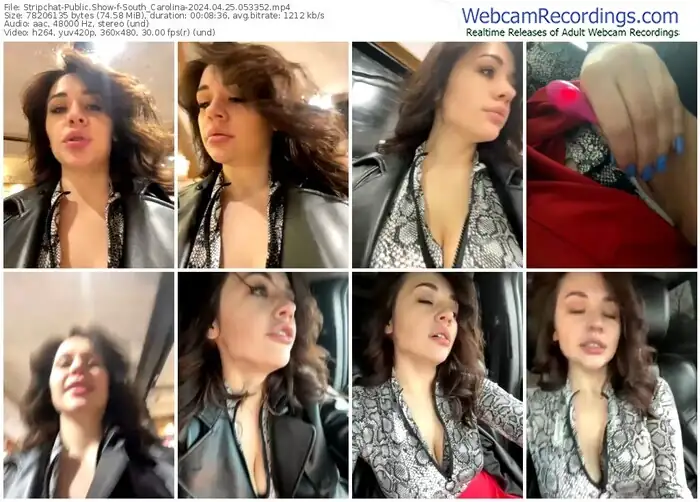 stripchat-south_carolina-04-25-2024-05-33-52