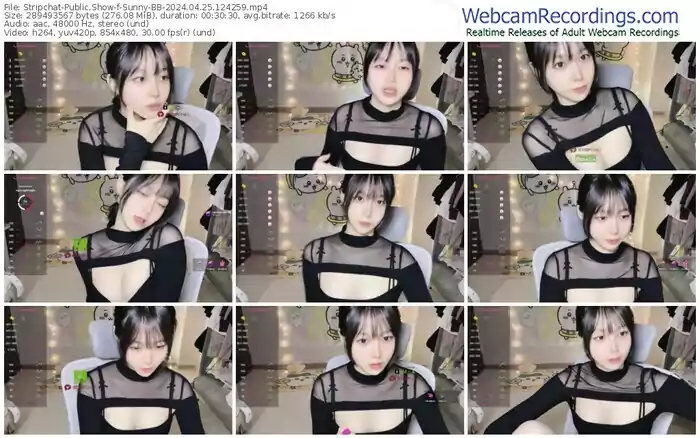 stripchat-sunny-bb-04-25-2024-12-42-59