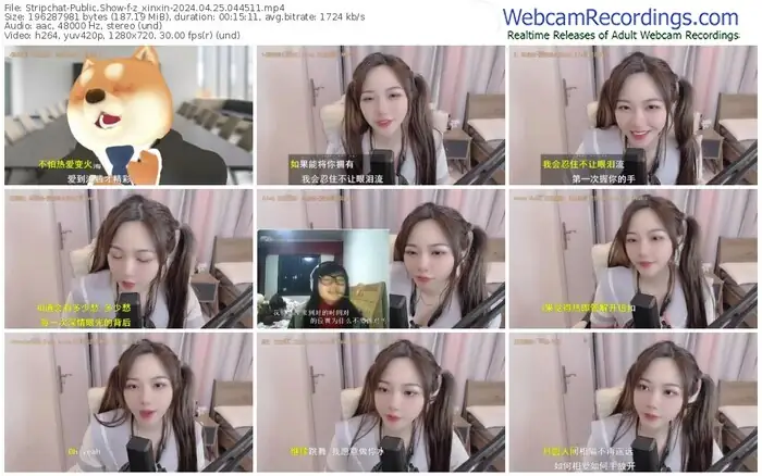 stripchat-z_xinxin-04-25-2024-04-45-11