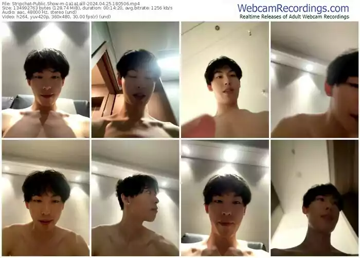 stripchat-1a1a1alll-04-25-2024-18-05-06