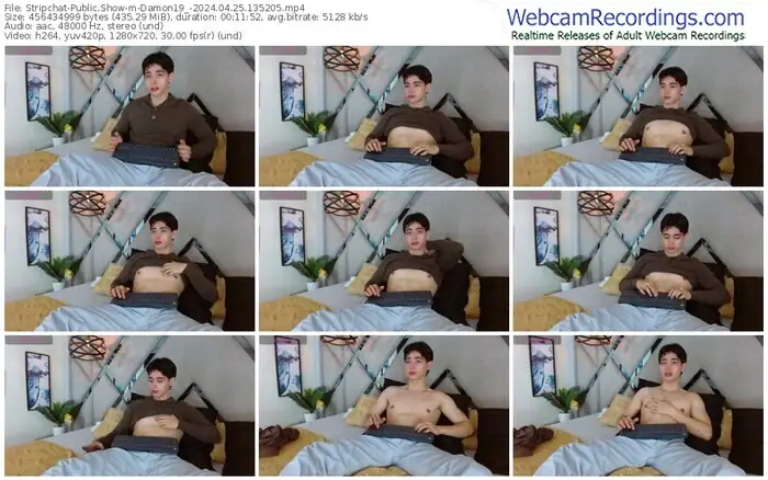 stripchat-damon19_-04-25-2024-13-52-05