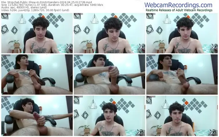 stripchat-dmitrisanders-04-25-2024-01-27-28
