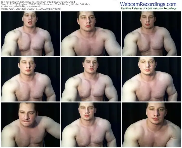 stripchat-lionedwin-04-25-2024-22-53-58