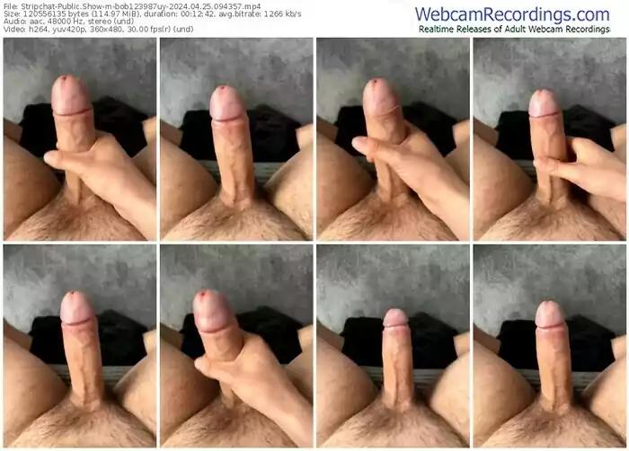 stripchat-bob123987uy-04-25-2024-09-43-57