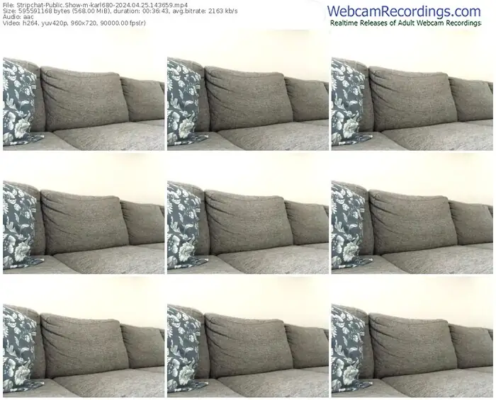 stripchat-karl680-04-25-2024-14-36-59