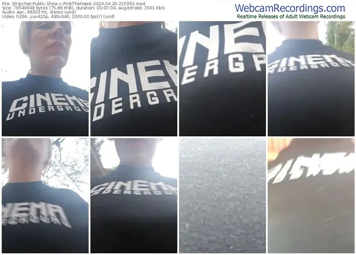 stripchat-pinkthehawk-04-26-2024-21-59-53