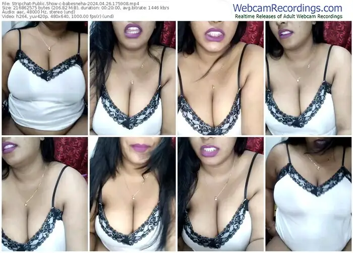 stripchat-babesneha-04-26-2024-17-59-08
